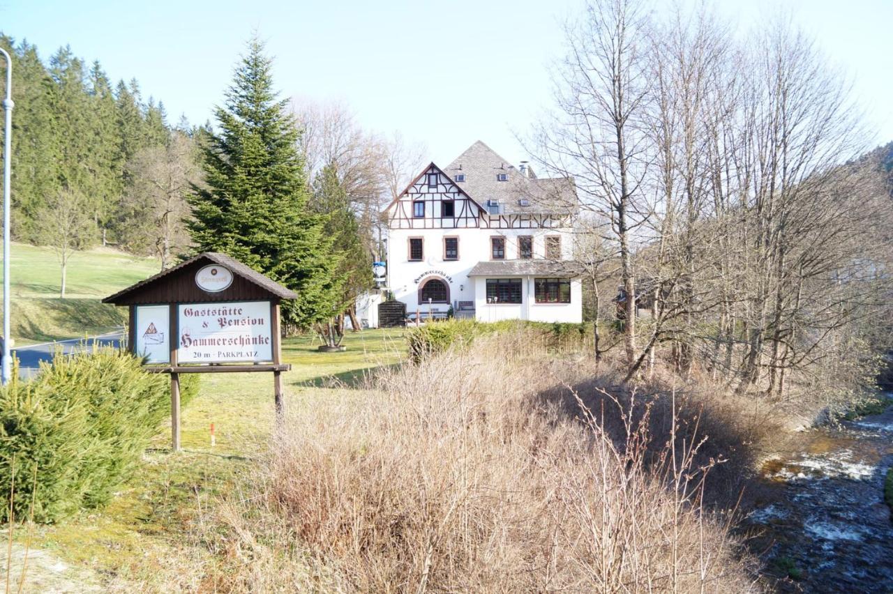 Gasthof Und Pension Hammerschaenke Wildenthal Екстериор снимка