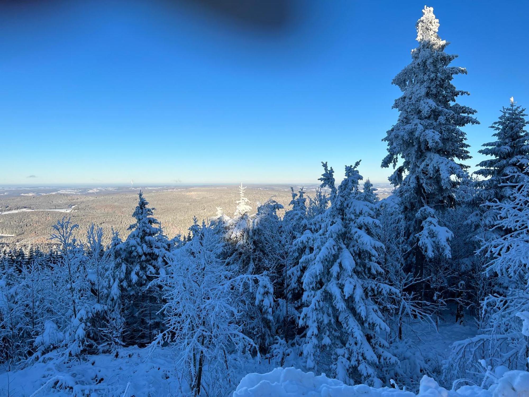 Gasthof Und Pension Hammerschaenke Wildenthal Екстериор снимка