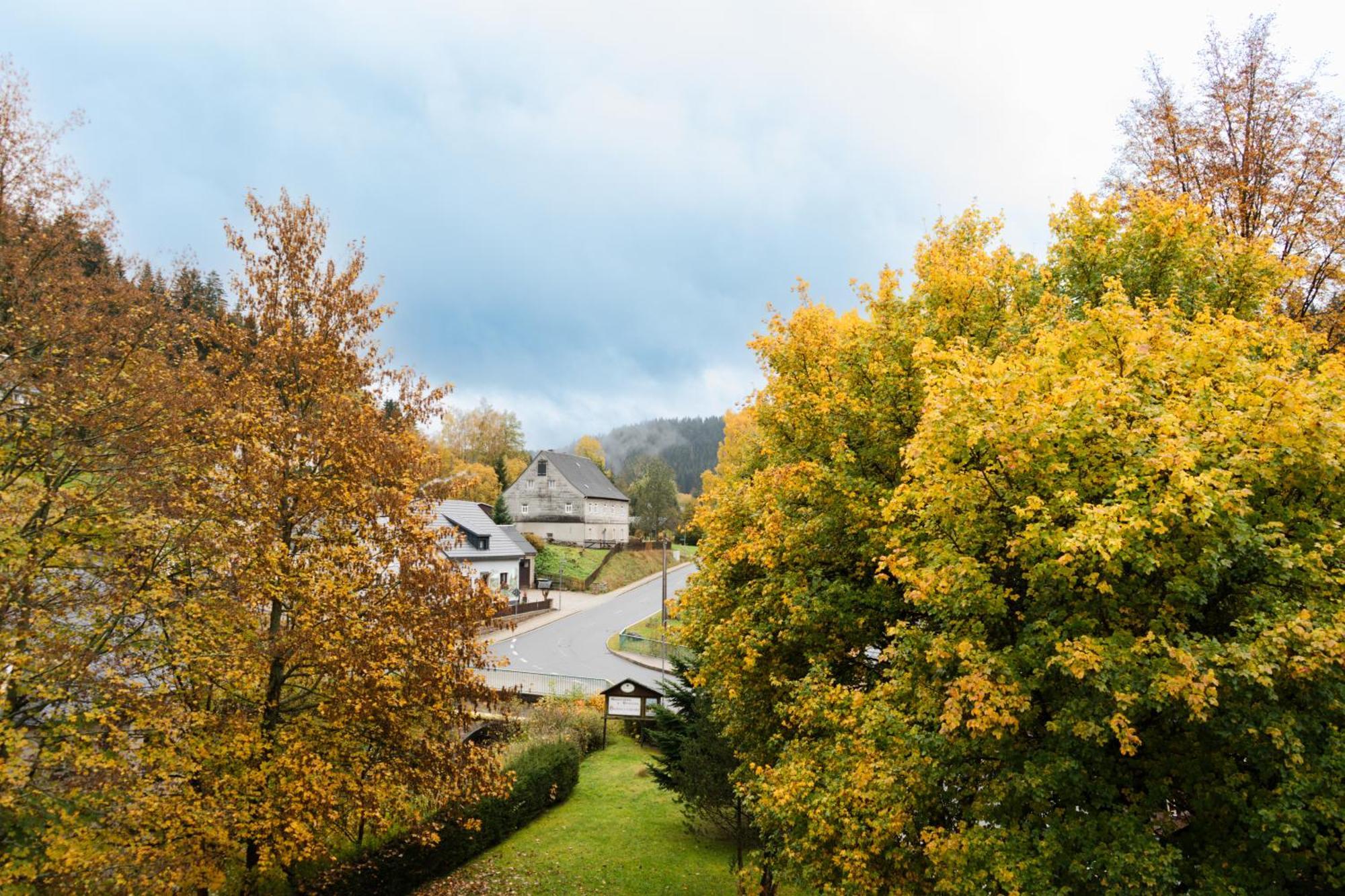 Gasthof Und Pension Hammerschaenke Wildenthal Екстериор снимка