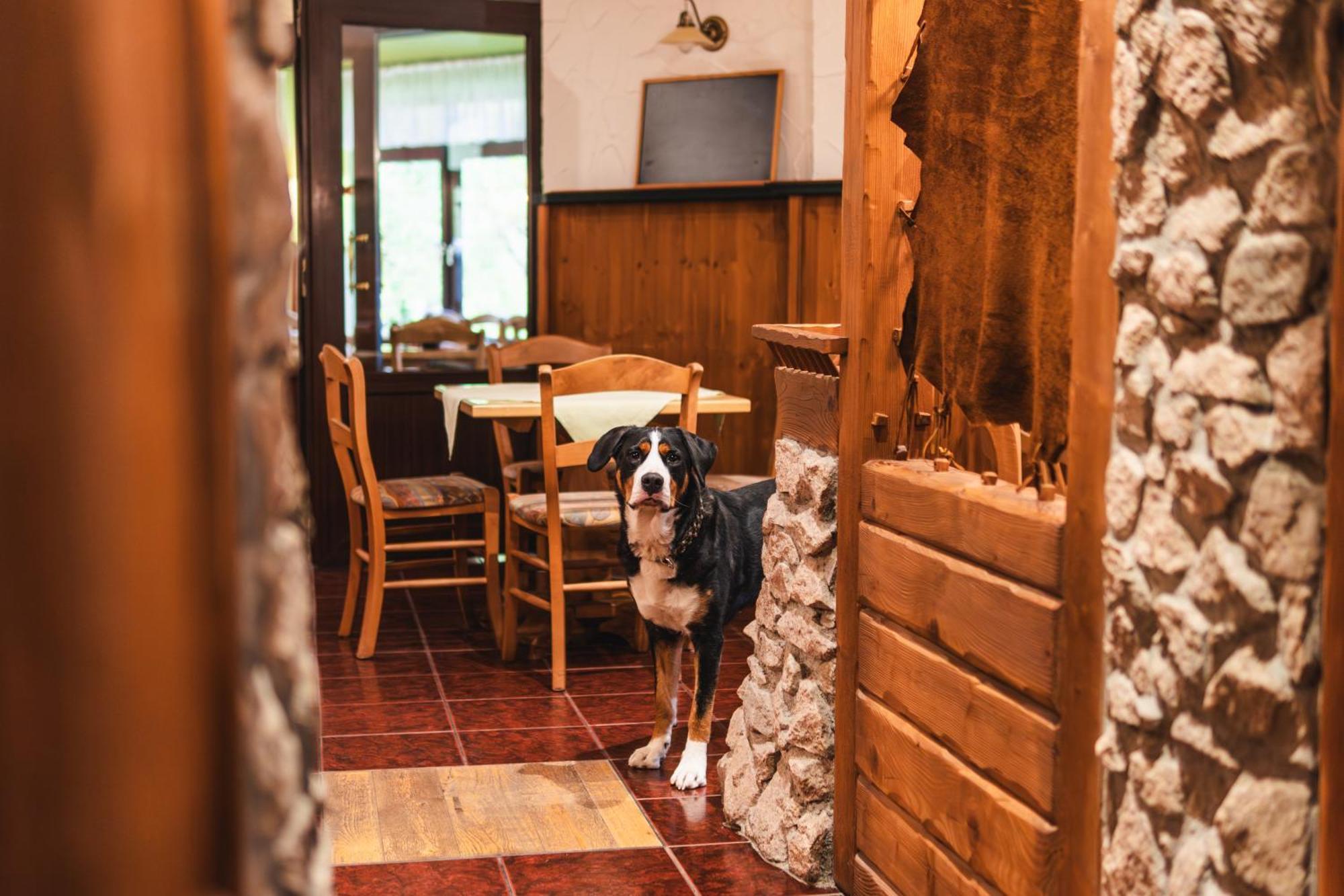 Gasthof Und Pension Hammerschaenke Wildenthal Екстериор снимка